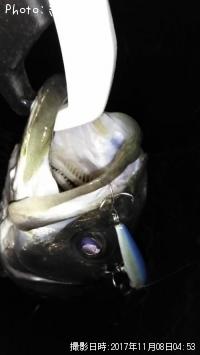 �����Х�