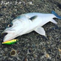 �����Х�