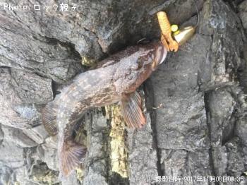 �����ʥ�