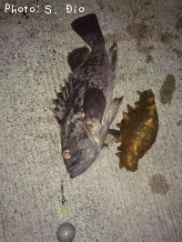 �����������ʥޥ�