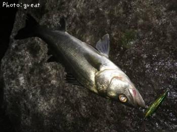 �����Х�