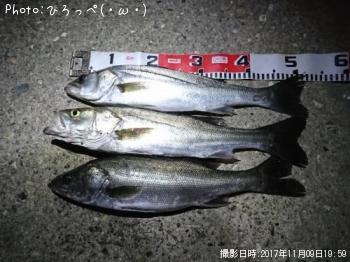 �����Х�