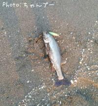 �����Х�