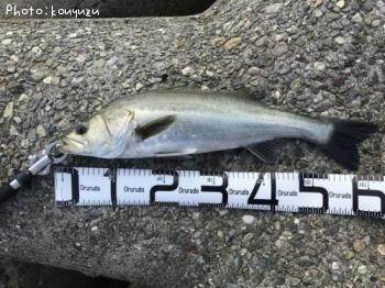 �����Х�