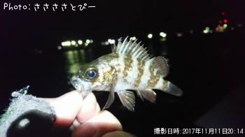 ��Х�����������������Х�