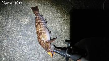 �����ʥ�