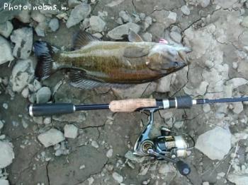 �֥�å��Х�