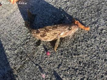 �����ʥ�