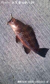 ¥ª¥ª¥â¥ó¥Ï¥¿