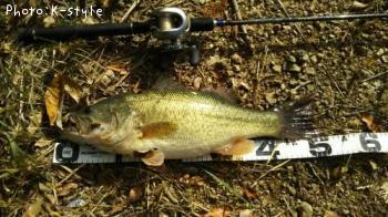 �֥�å��Х�