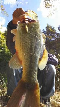 �֥�å��Х�