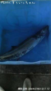 �����