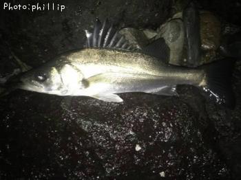 ������������