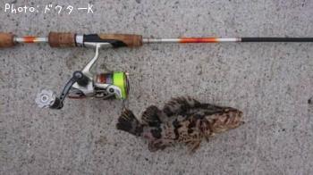 �����Υ���Х�