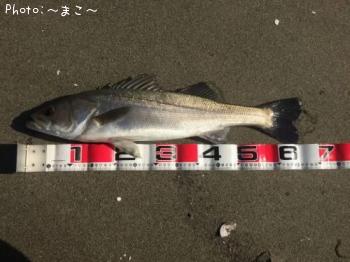 �����ե����Х�