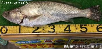 �����˥�