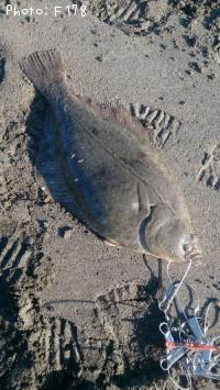 �������쥤