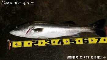 �����Х�