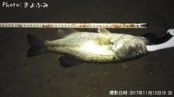 �֥�å��Х�