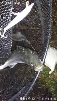 �����Х�