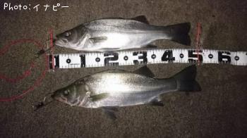 �ҥ饹����