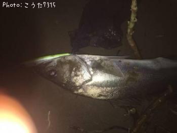 �����Х�