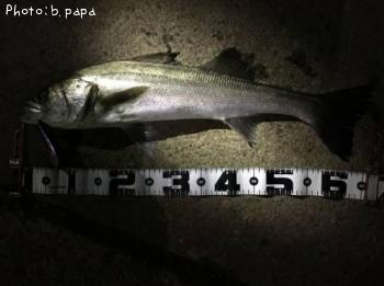 �����Х�