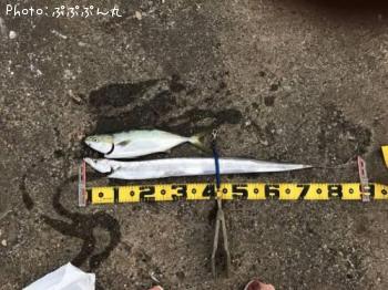 ���������ȥ��ʥ�