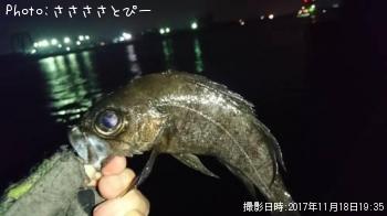 ��Х������