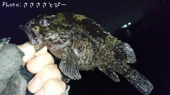 ��Х������