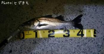 �����Х�