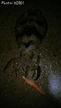 �����ꥤ��