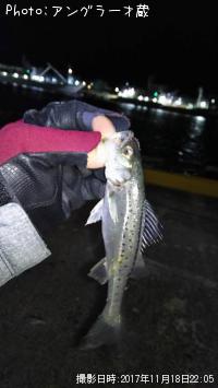 �����ꥯ������