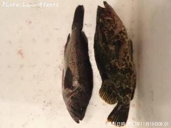 �٥å�������