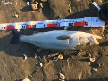 �����Х�