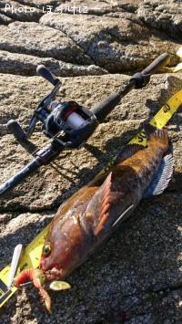 �����ʥ�