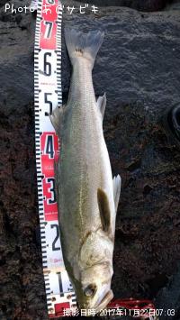 °ë¥·¡¼¥Ð¥¹