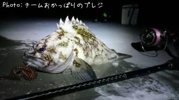 ���������饽��