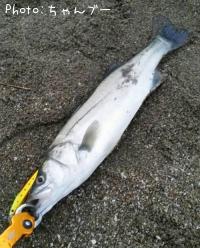 �����Х�