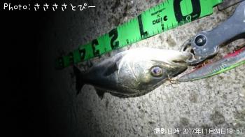 �����Х�