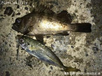 ��Х롢����