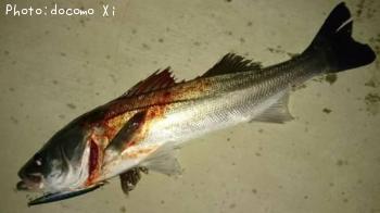 �����Х�