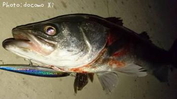 �����Х�