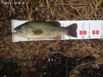 �֥�å��Х�