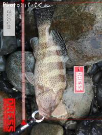 �������ϥ�