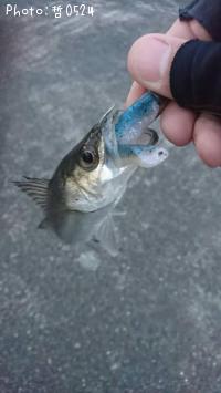 �����Х�