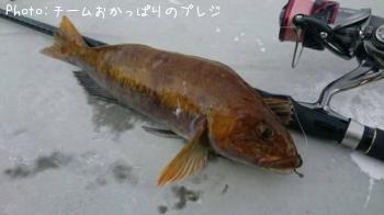 �����ʥ�