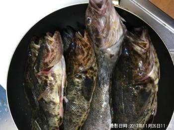 �٥å�������