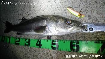 �����Х�