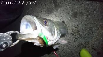 �����Х�